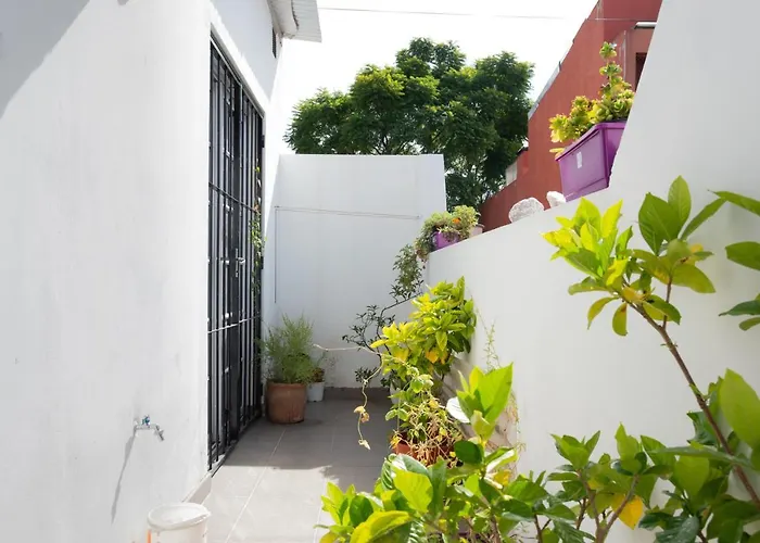 Hermoso Apartamento A Estrenar